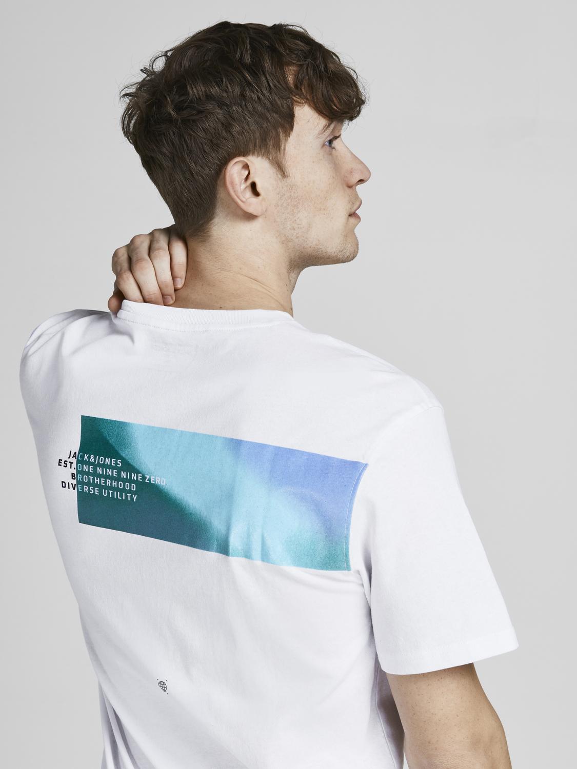 model_shot-creative