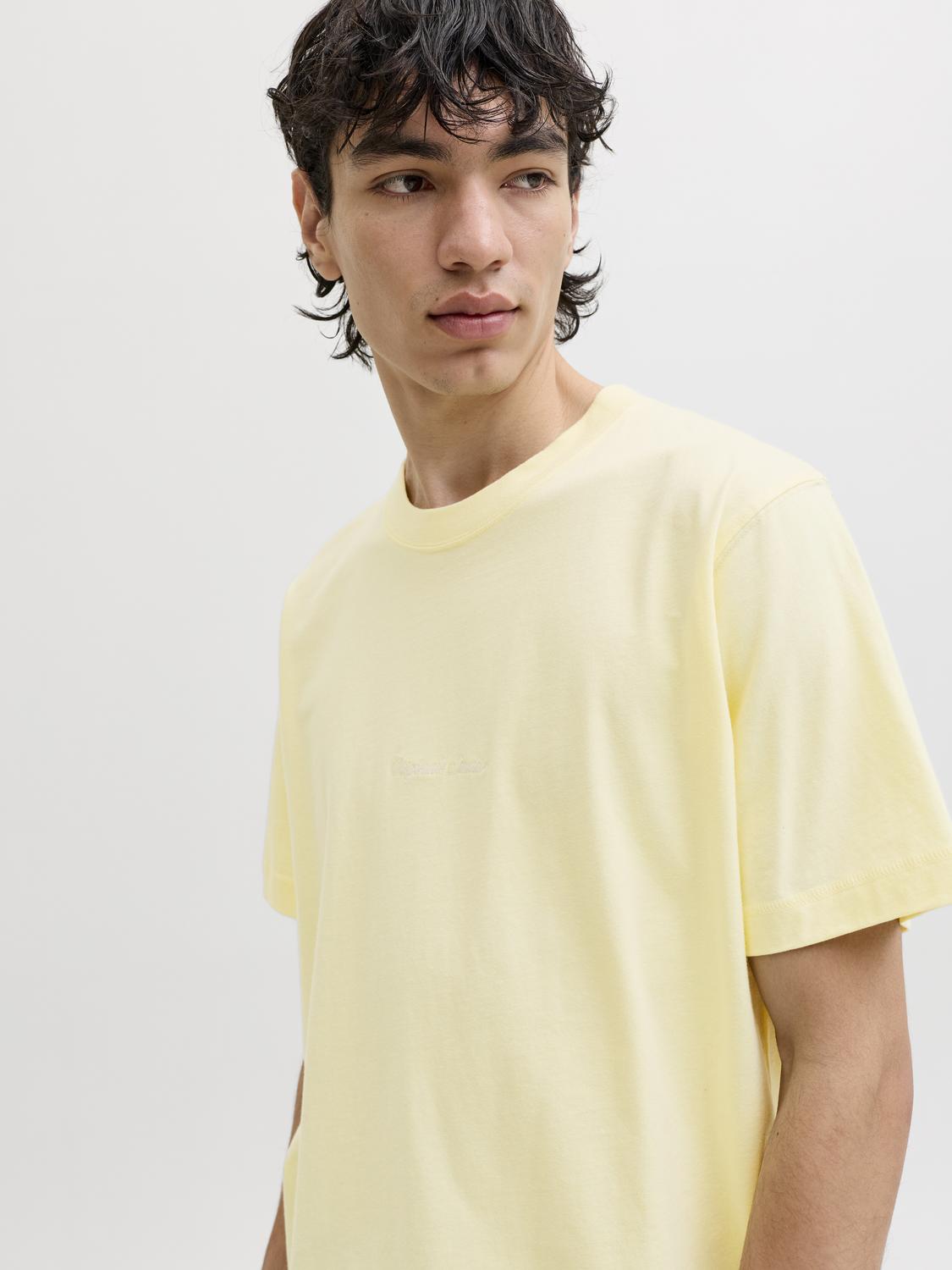model_shot-creative