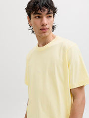model_shot-creative