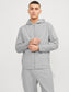 JCOCLOUD Sweat - Light Grey Melange