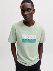 model_shot-creative