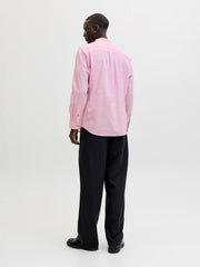 model_shot-back