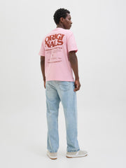 model_shot-back