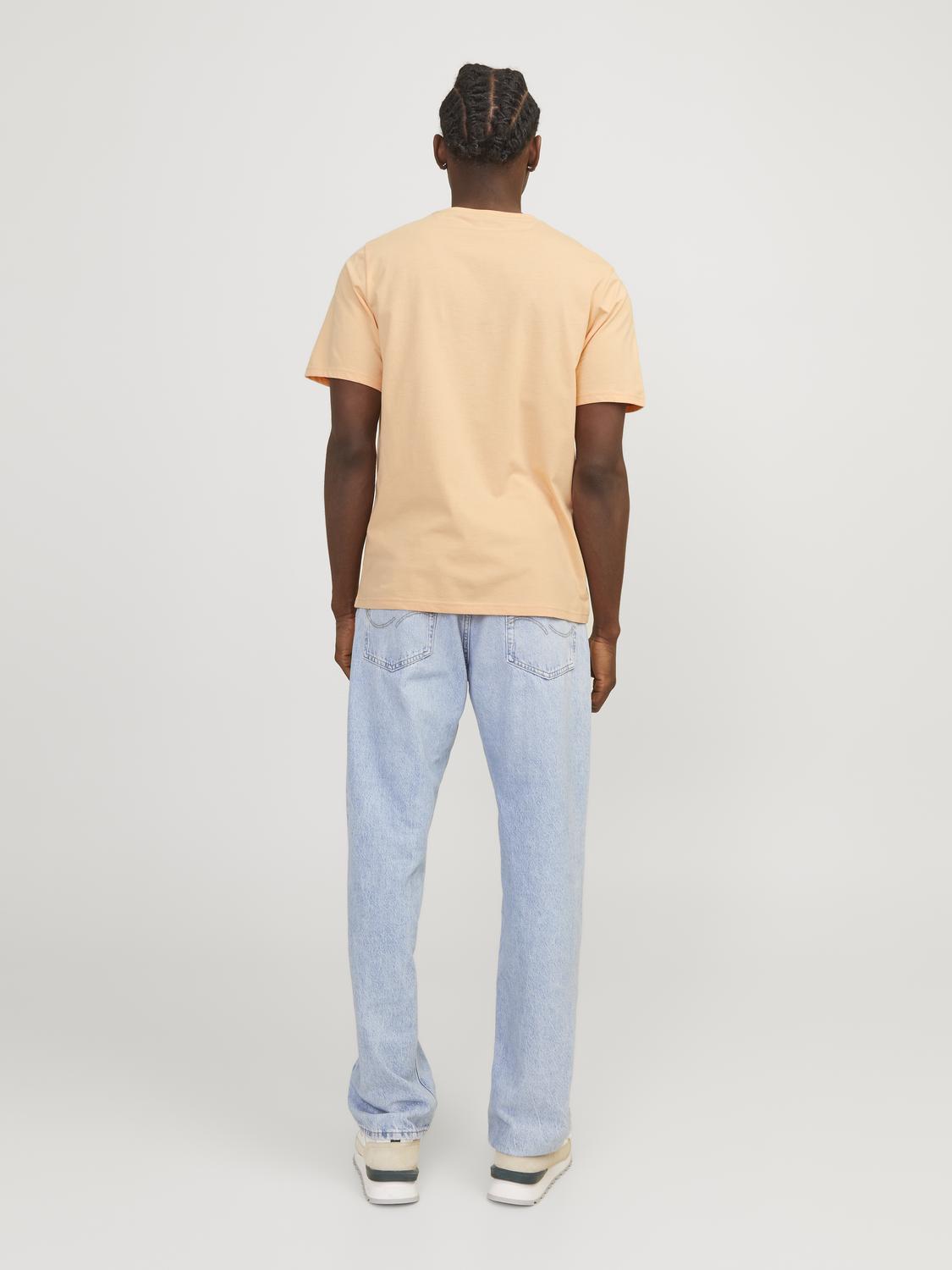 model_shot-back