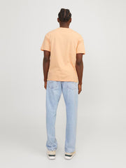 model_shot-back
