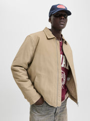 model_shot-creative